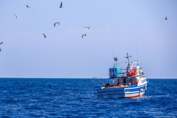 CIRCEO YACHT VELA CLUB | scuola vela FIV su derive per ragazzi | regate derive e altura | San Felice Circeo | Latina | Lazio